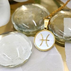 Dainty Zodiac Disk Charm, ♓/Pisces, Mother of Pearl Delicate Pendant Necklace